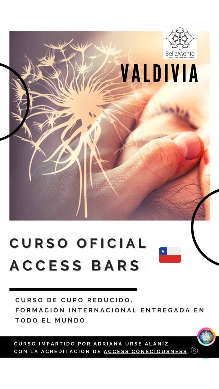 afiche oficial acces bars